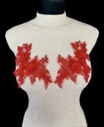 205 LACE APPLIQUE