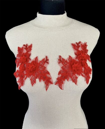 205 LACE APPLIQUE