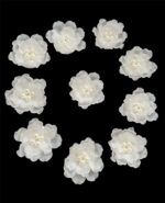 107 FLOWER APPLIQUE